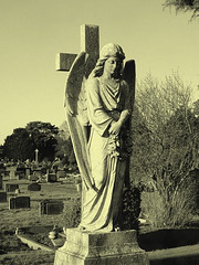 Graveyard Angel