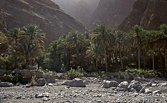 Travelogue of trip into the Interior mountain ranges of Oman