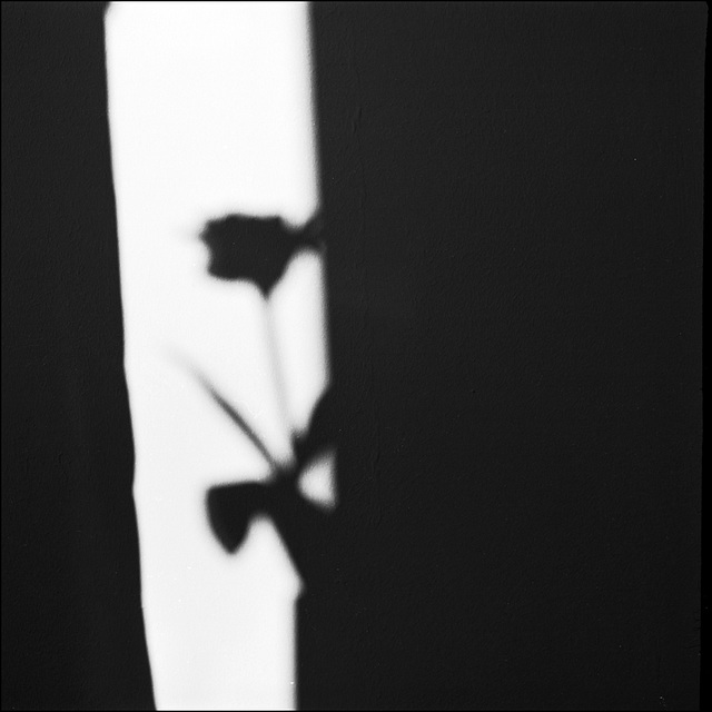 Schatten