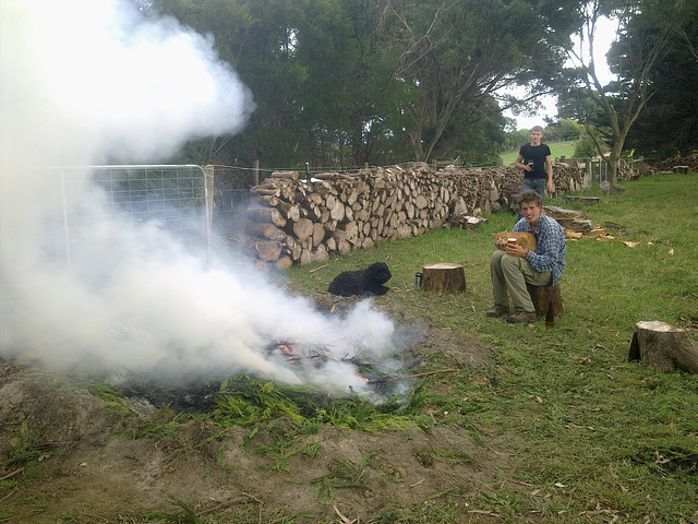 the new bonfire pit