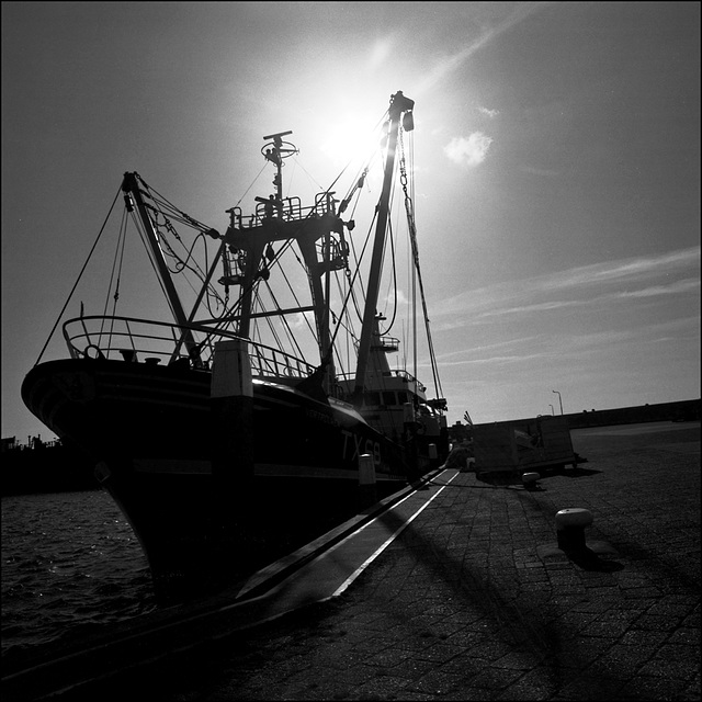 Texel | Schiff | Oudeschild