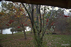 IMG 0893.CR2
