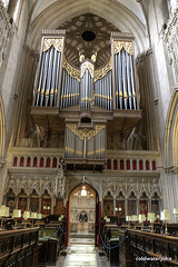 Wells Cathedral organ from the High Altar
