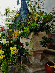 westwood church