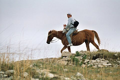A Horseman Riding By