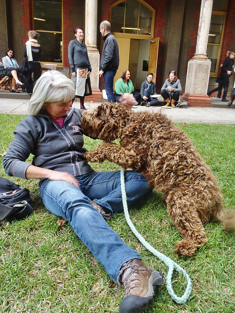 Siobhan reunited with the doggies...