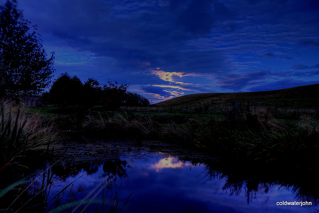 Moonlight on pond