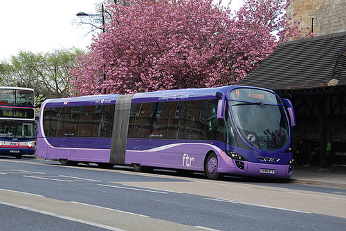 Pink bus with matching tree in front of York Station