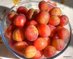 Fancy a plum?