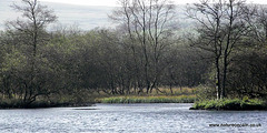 Views from bird hide