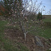 IMG 0908CR2 4090225900 o