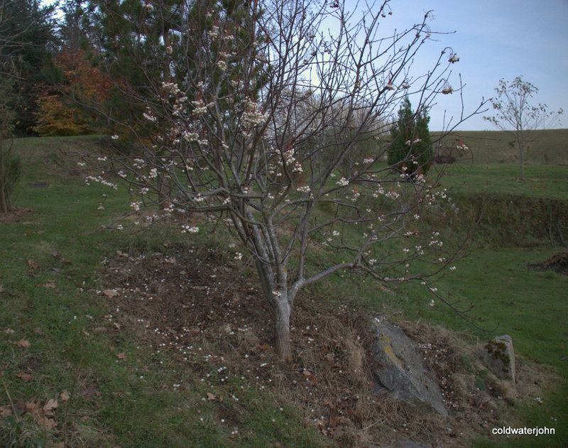 IMG 0908CR2 4090225900 o