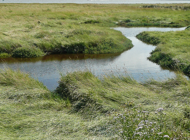 the thames estuary