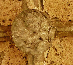 walpole st.peter