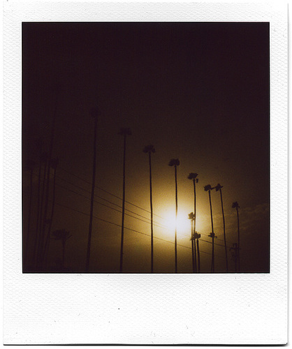into dust