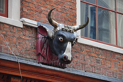 Cow's head