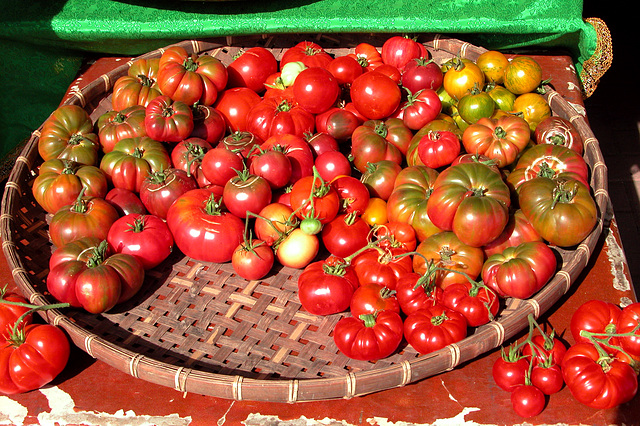 Portland images: tomatoes at the farmer's market