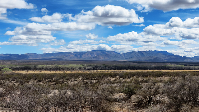 The Mule Mountains & The San Pedro River