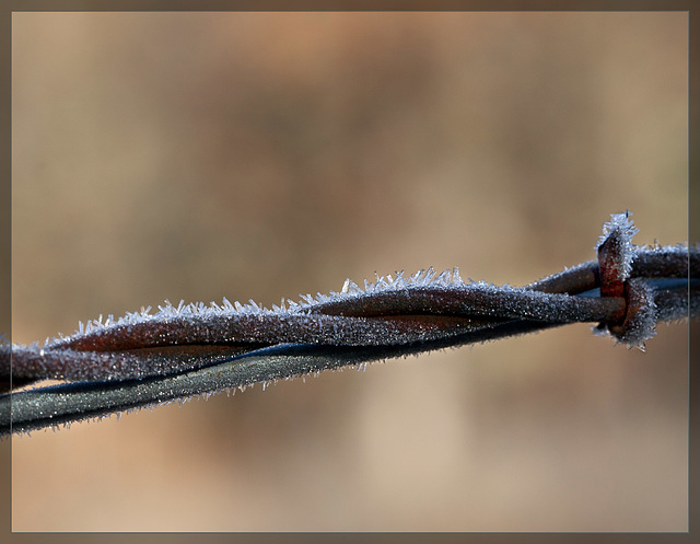 Twisted Wire