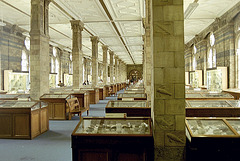 Natural History Museum: one of the old galleries