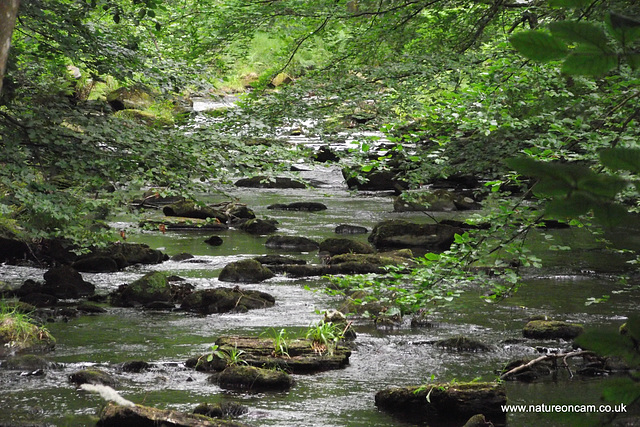 Hardcastle Crags Walk