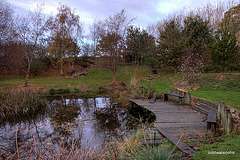 Pond, dock, and gazebo amongst the oaks 4093576014 o