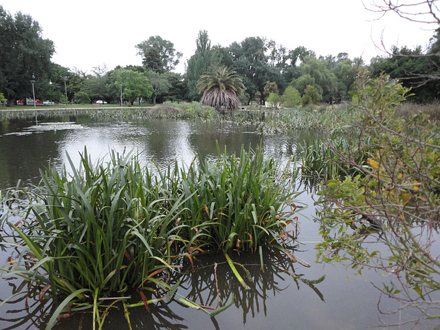 Lake Wendouree