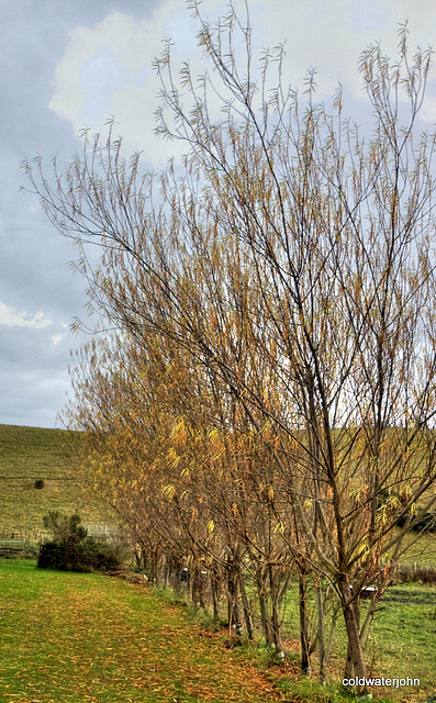 IMG 0955 3 4 tonemapped