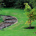 Bark path and steps with Tulip Tree