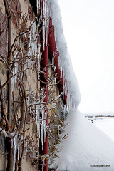 When icicles hang by the wall 5220800950 o
