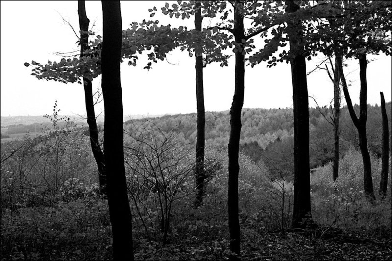 Natur