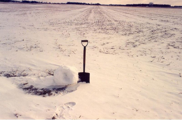 Blowing Snowballs