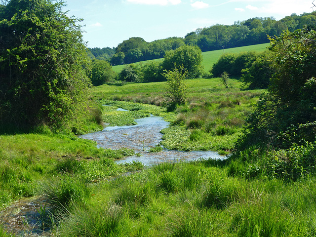 the river gade, great gaddesden, herts.