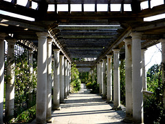 Along the pergola terrace