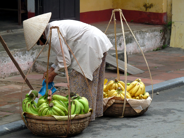 A Fine Load of Bananas