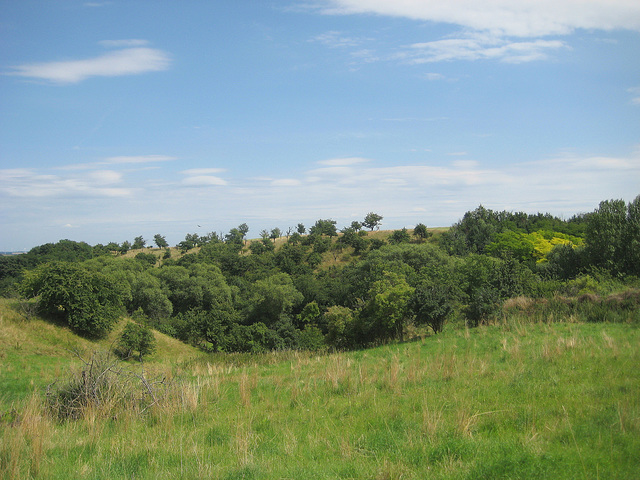 Am Weg nach Alsleben