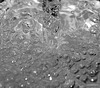 Waterspirit in the column 4103009152 o