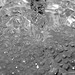 Waterspirit in the column 4103009152 o