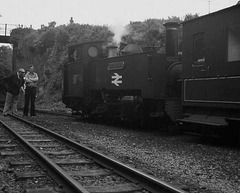 Vale of Rheidol Loco No. 8 #1