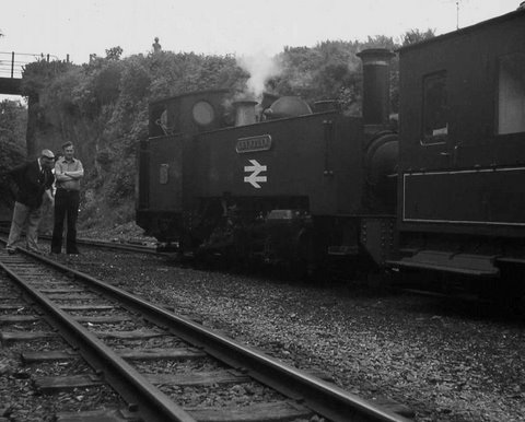 Vale of Rheidol Loco No. 8 #1