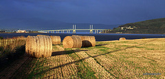 Kessock Bridge in dawn autumn light