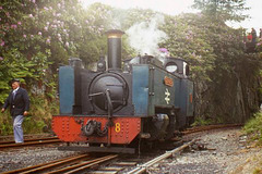 Vale of Rheidol Loco No. 8 #2