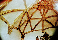 web vaulting in the berkeley chapel, in berkeley church, glos.