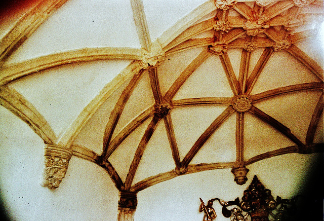 web vaulting in the berkeley chapel, in berkeley church, glos.