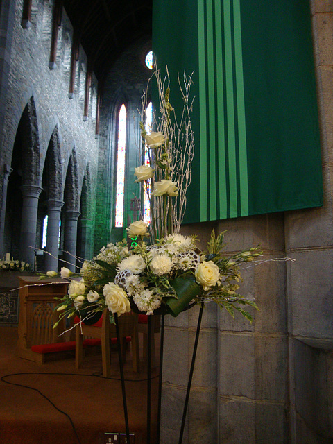 Ireland 381