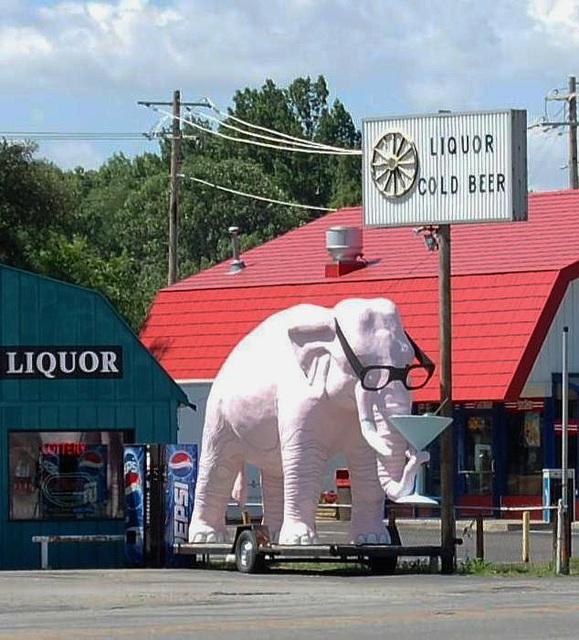 Pink Elephant