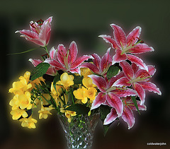 Lilies and fresias in bloom