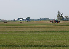 Sod Harvest