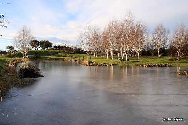 Skating rink may be open tomorrow!