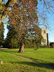 latton church, harlow